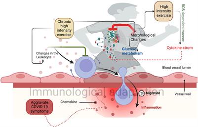 Exercise and COVID-19: exercise intensity reassures immunological benefits of post-COVID-19 condition